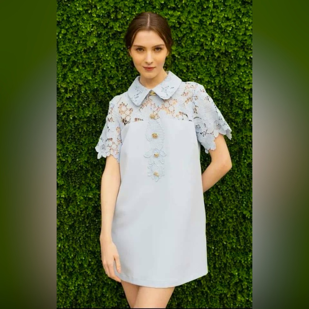 New Dress. Bought online.